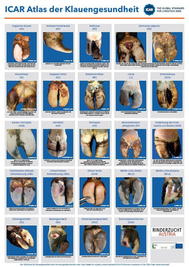 ICAR Atlas der Klauengesundheit