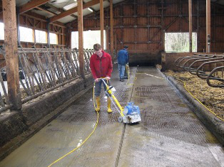 Stallbodensanierung