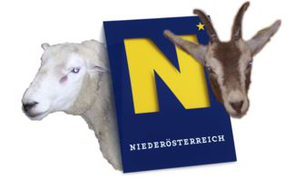 NÖ-Logo Schaf- und Ziegenbericht